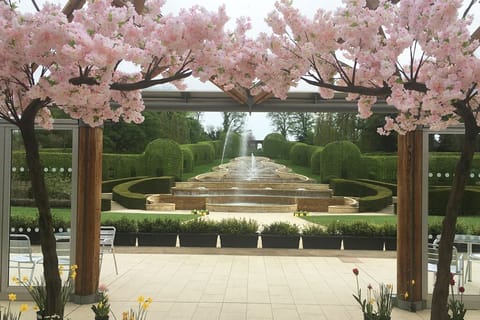 Outdoor banquet area