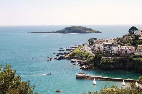 Looe Island and Looe Bay