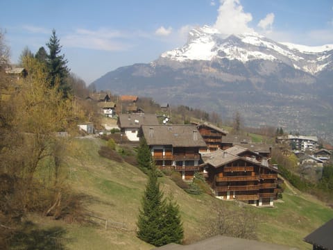 The Chalets from the Gondola Lift
