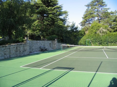 Sport court