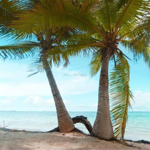 Beach nearby, sun loungers, beach towels