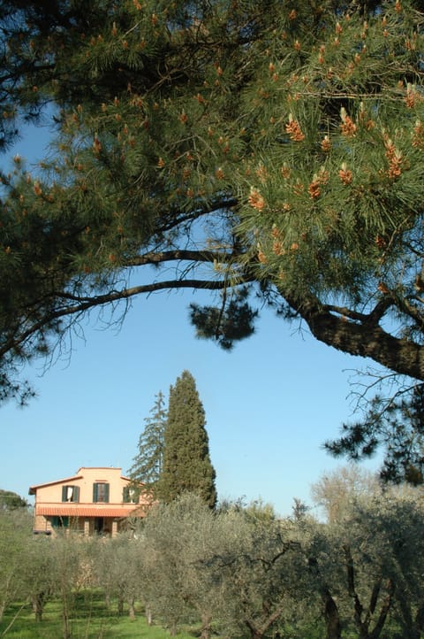 Casale Massucci is nature, history and tranquility House in Lazio