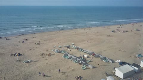 On the beach, sun loungers