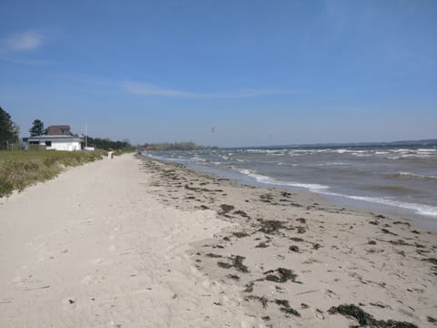 On the beach, sun loungers