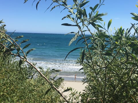 Beach nearby, sun loungers