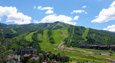 Summer view from the deck.