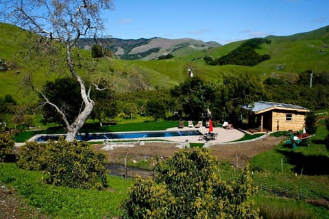 20 yd lap Pool with baja step and spa/ homestead house with elliptical machine