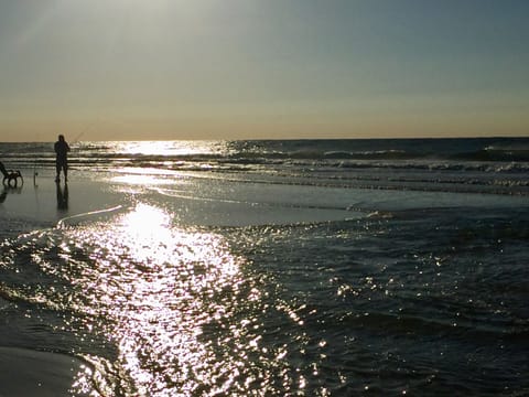 On the beach