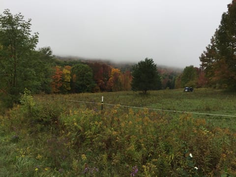 View looking down the road. 