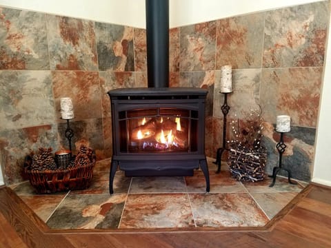 New propane fireplace