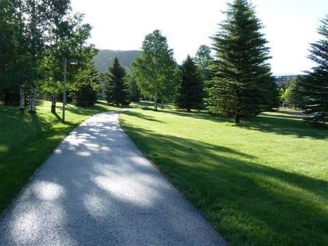 Walk around the park and lake. Just steps from our unit!