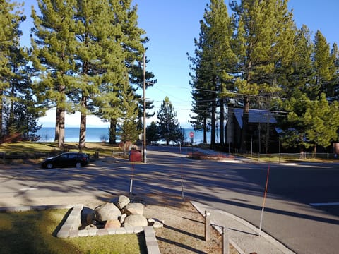 View from the livingroom