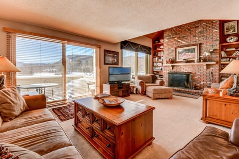 TV, fireplace, books, stereo