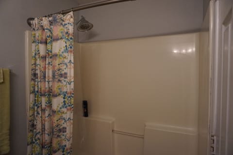 Combined shower/tub, hair dryer, towels