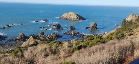 Private beach trail leads you down to some of the best tide pools in the area.