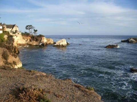 Shell Beach coastline at the end of our block!