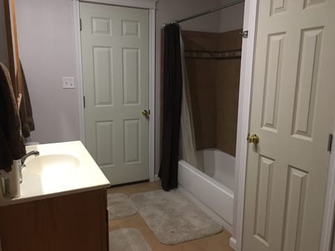 Shower, jetted tub, hair dryer, towels