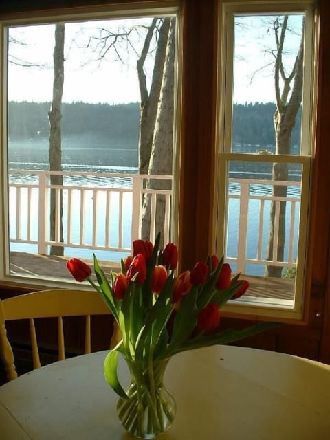 View from the dining table (old deck in the background).