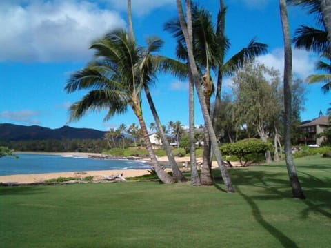 On the beach, sun loungers, beach towels