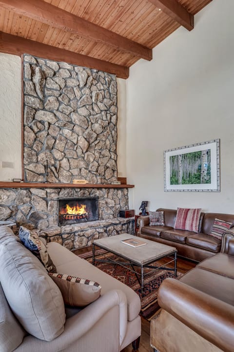 Living Room with wood burning fireplace