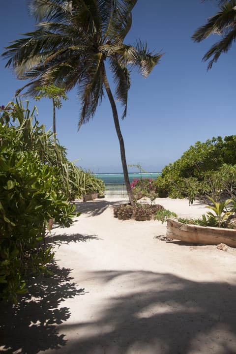 On the beach, sun loungers, beach towels