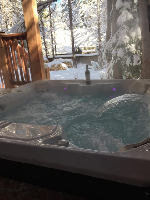 Hot Springs Multi-jet Hot Tub on Downstairs Back Deck off Master Bedroom