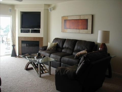 Smart TV, fireplace, DVD player, stereo