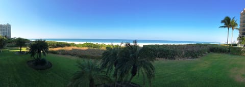 On the beach, sun loungers, beach towels