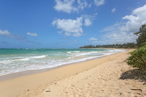 On the beach, sun loungers, beach towels