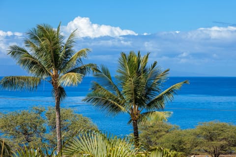 Beach nearby, sun loungers, beach towels