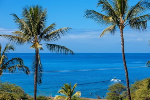 Beach nearby, sun loungers, beach towels