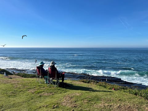 Cuvier Park, a great spot for a picnic! (7min walk)