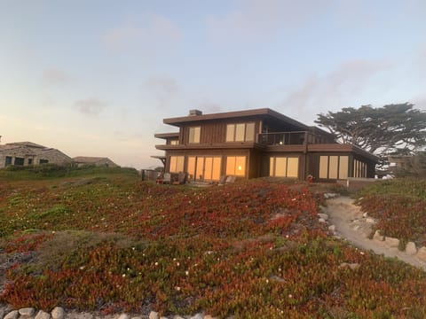 Besides one distant neighbor, we are surrounded by parks and the blue Pacific.