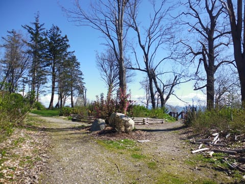 There are some more lovely trails at the top of the public stairs leading back.