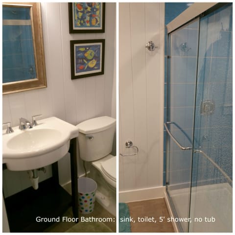 Ground floor bathroom: sink, toilet, shower (no tub)