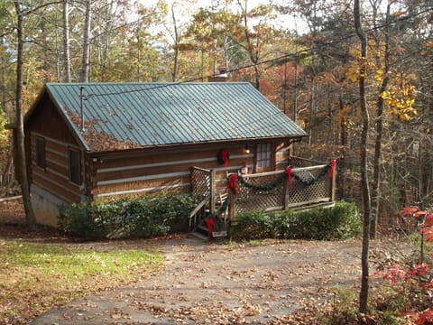 Decorated Top to Bottom for Christmas