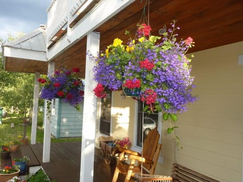 Hanging baskets