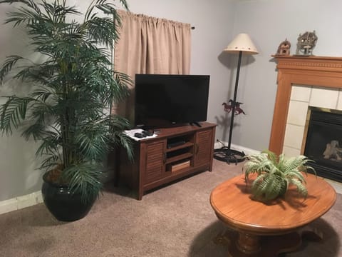 Smart TV, fireplace, DVD player, video library