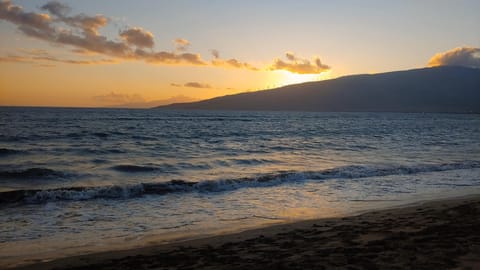 Beach nearby, sun loungers, beach towels