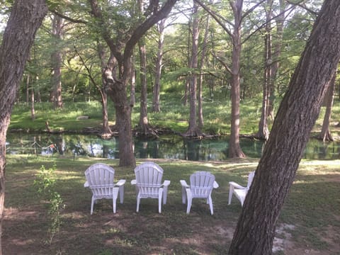 Water Front, Cypress Creek...spring fed and flowing.
PETS WELCOME 