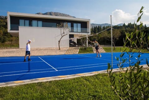 Sport court