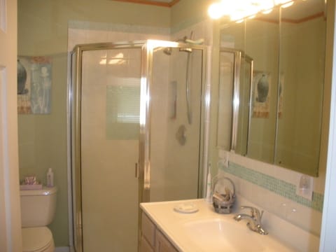 Combined shower/tub, hair dryer, toilet paper