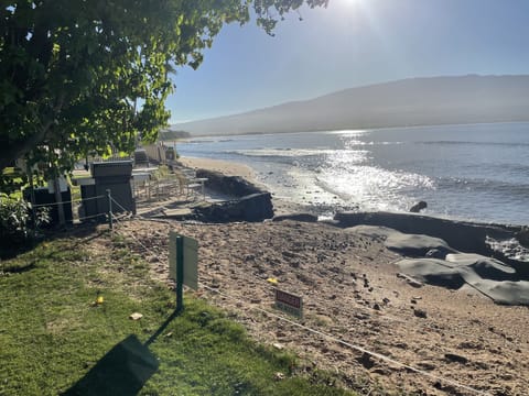 On the beach, sun loungers, beach towels