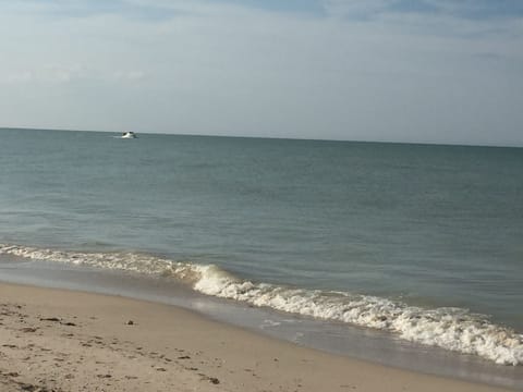 On the beach