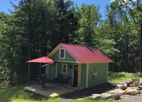 House View - The Sugarbush Tiny House resides on 3.2 acres of wooded forest.