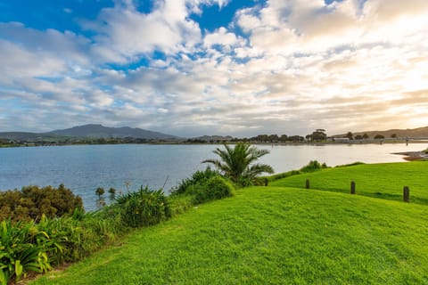 Right across the road.