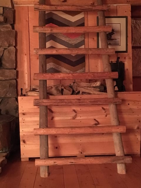 Ladder to loft bedroom