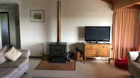 Smart TV, fireplace, DVD player, table tennis