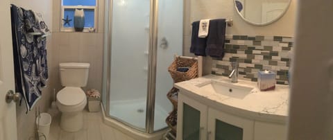 Bathtub, hair dryer, towels, toilet paper