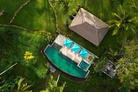 Luxury 5 Bedroom Villa near Balian Beach